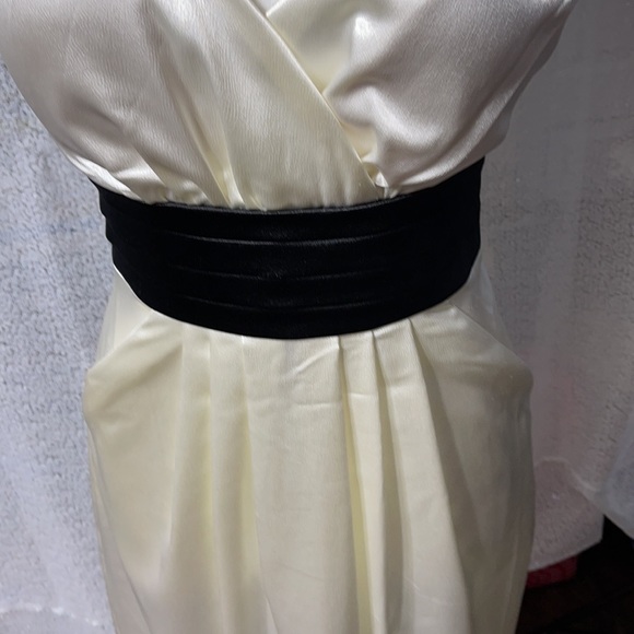 Appropriate Behavior prom dress size 11/12 - Picture 6 of 14